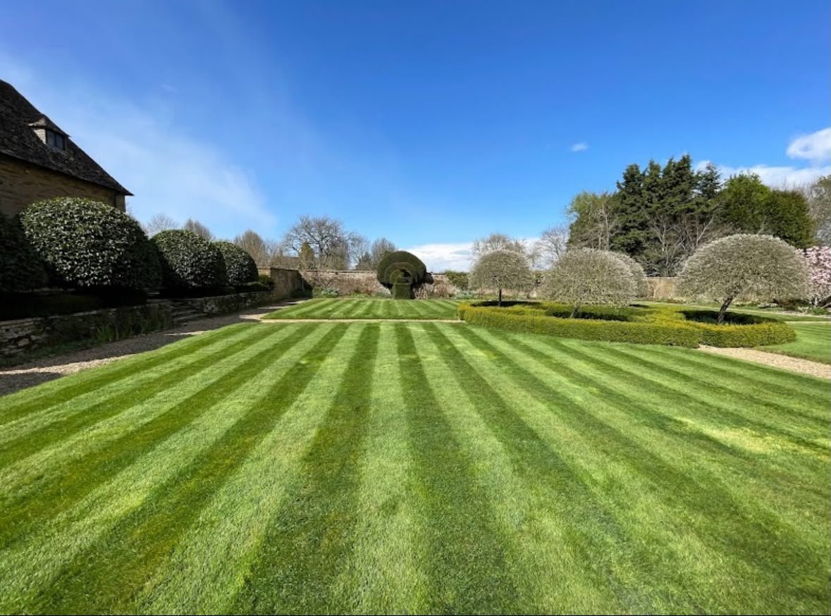 Well-manicured lawn with precise diagonal stripes, bordered by hedges and trees under blue sky