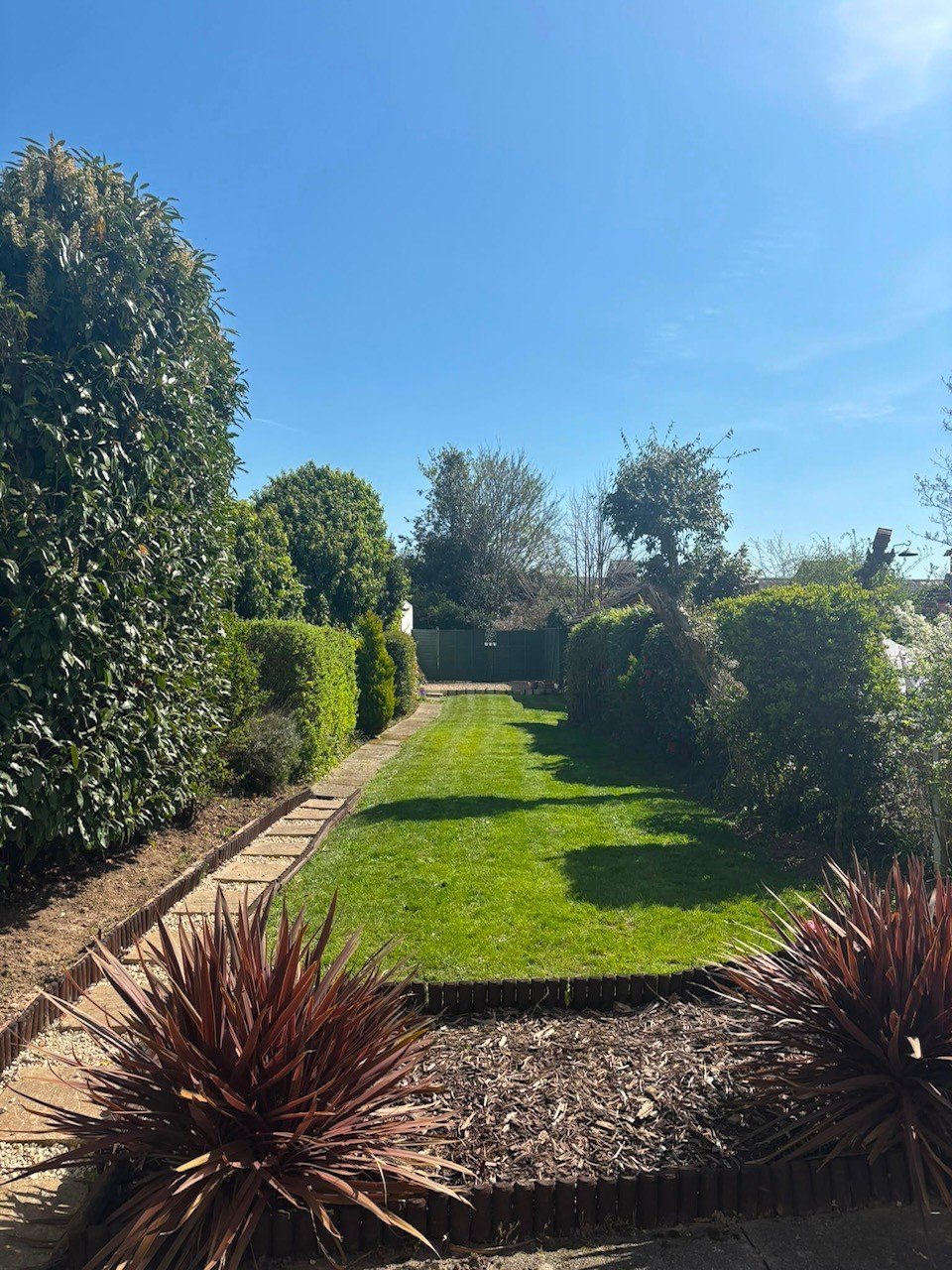 Manicured garden with green lawn, topiary hedges, and red-leafed plants under bright blue sky