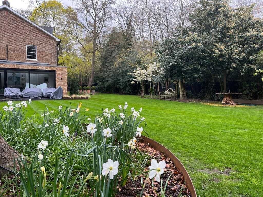 White flowers blooming in garden bed with brick house, manicured lawn, and trees in background